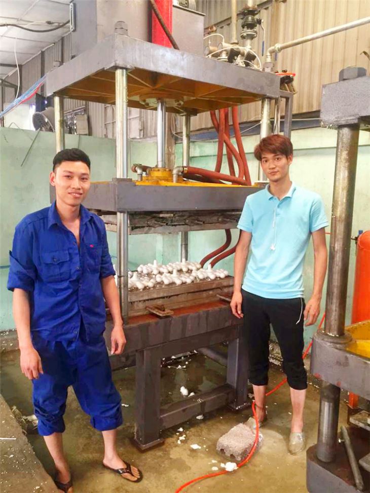Cheap EPS Shape Moulding Machine